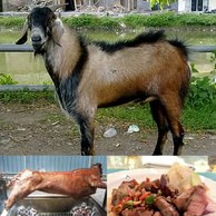 Kambing_Guling_jogja