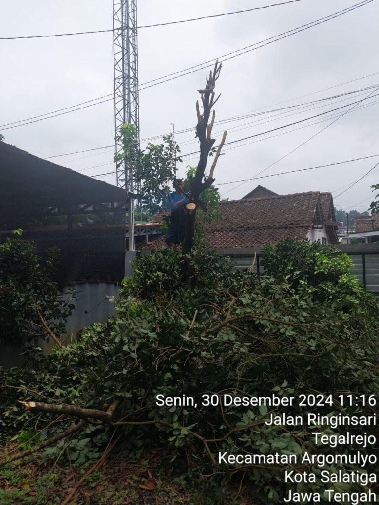 WhatsApp Image 2025-01-14 at 03.41.22