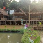saung bambu